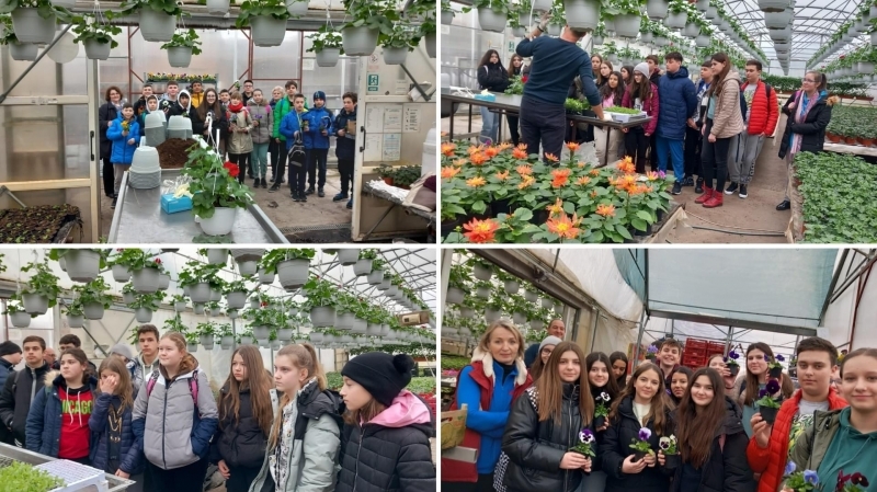 Săptămâna verde -Ziua a treia la Școala ,,Avram Iancu” din Câmpia Turzii 