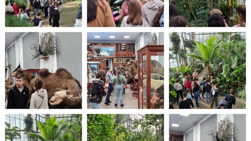 Școala Avram Iancu din Câmpia Turzii - Săptămâna verde -Ziua 4