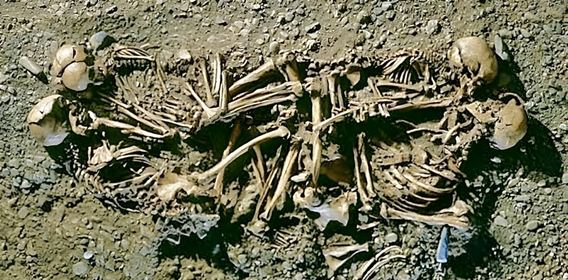 ADN-ul extras din oase și dinți într-o înmormântare veche de 4600 de ani