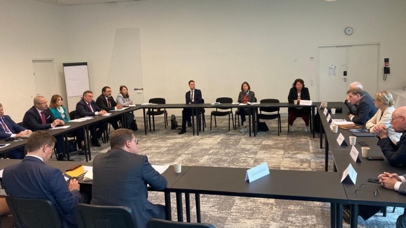 Vasile Dîncu - Germania este un partener cheie al României în domeniul securității și apărării, iar cooperarea bilaterală cu Berlinul