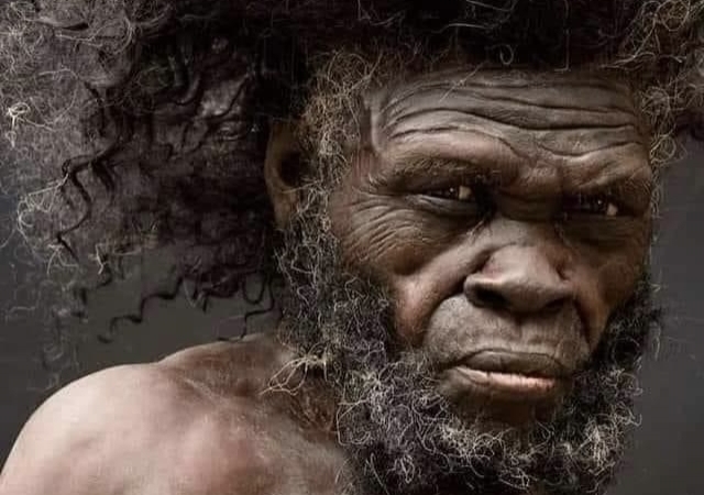 O reconstrucție științifică a ceea ce arăta primul om modern din lume acum 160.000 de ani. Prezentat la Muzeul Moesgaard, Danemarca