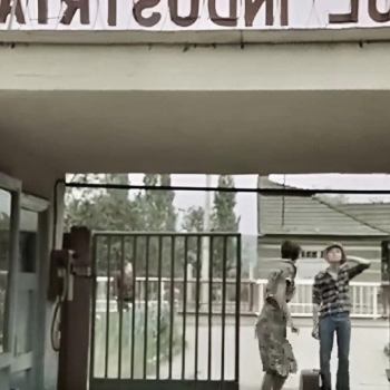 329948703_526112179623234_1230064114807105724_n