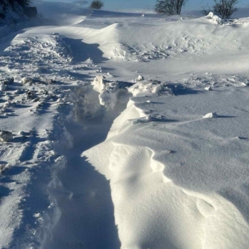 1d84ee28-2e45-42d1-ae7f-dfe5d2bfbeb3