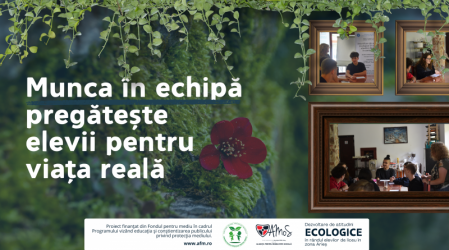 Ce învață elevii când sunt puși să lucreze împreună?